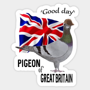 Pigeon of Great Britain Greeting Sticker